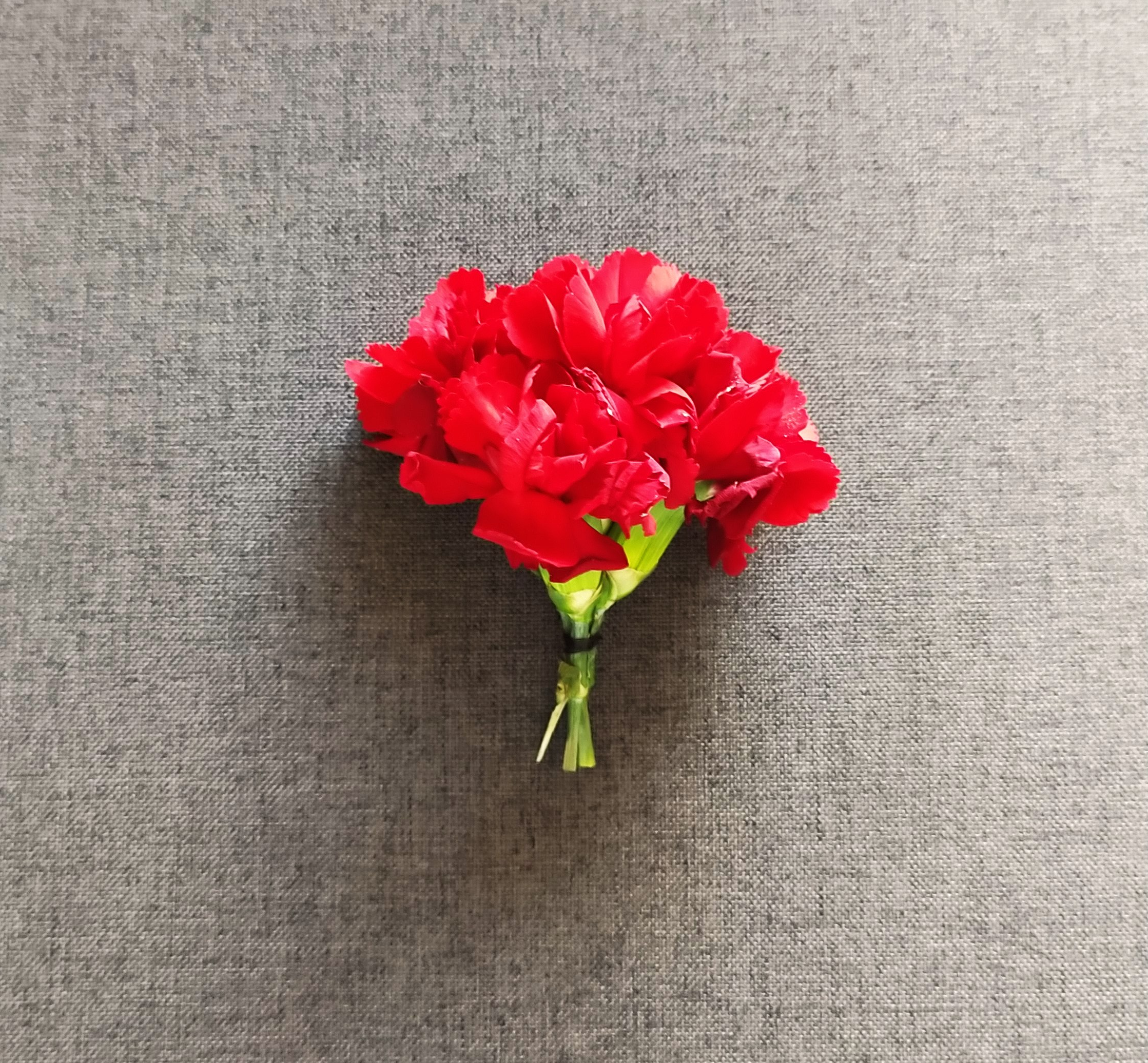 Fotografía de Bea — Flores